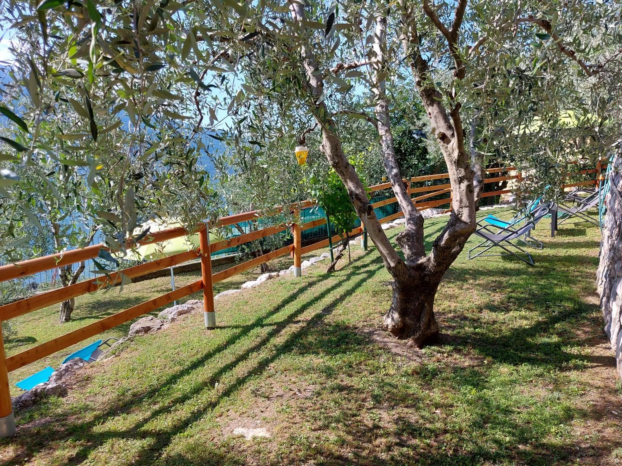 דירות Tremosine Ulivi Sul Garda Garden By Gardadomusmea מראה חיצוני תמונה