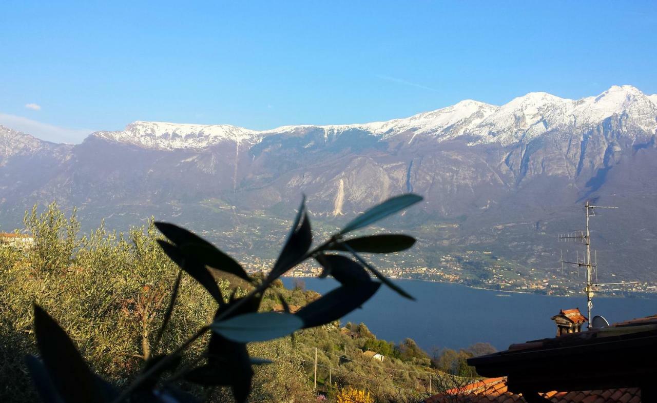 דירות Tremosine Ulivi Sul Garda Garden By Gardadomusmea מראה חיצוני תמונה